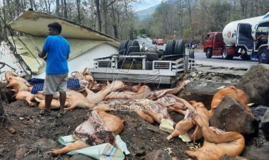Minim Rambu dan Penerangan, Truk Babi Terguling Masuk Jurang