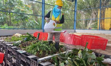 50 Ton Sampah per Bulan Dimanfaatkan untuk Bahan Bakar PLTU