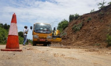 Komisi D DPRD Tulungagung Dukung Penuh  Reboisasi di JLS