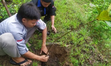Reboisasi Pegunungan Tulungagung Tak Berhasil, ada Oknum Nakal Perusak Tanaman