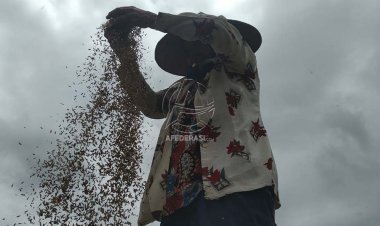 Hari Pangan Sedunia, Ini Pesan Gubernur Khofifah