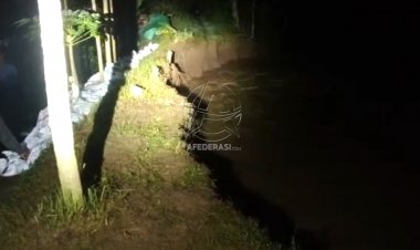 Debit Air Sungai Parit Raya Tinggi, Warga Desa Singgit Membuat Tanggul