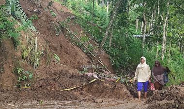 Dalam Dua Pekan, BPBD Kabupaten Kediri Catat 5 Kali Bencana Longsor