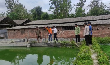 Sempat Mengeluh Sesak, IRT Ditemukan Mengapung di Kolam Ikan