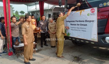 Kabupaten Kediri Ekspor 9,6 Ton Nanas ke Oman