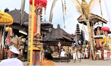 Ribuan Penjor Sambut Delegasi KTT G20 di Bali