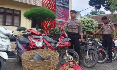 Gerebek Arena Sabung Ayam, Polisi Hanya Dapatkan Belasan Motor