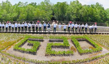 Jokowi Ajak Para Pemimpin Negara G20 Tanam Pohon Mangrove di Tahura