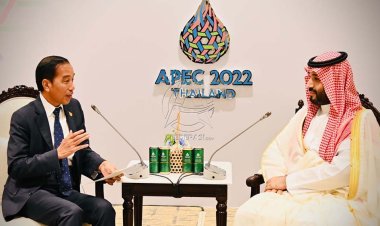 Presiden Lakukan Pertemuan dengan PM Arab Saudi