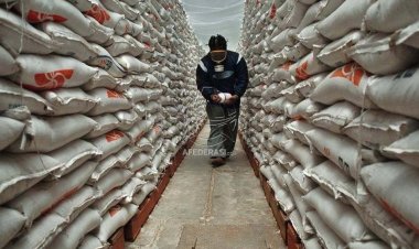 Harga Beras Naik, Ini Penjelasan Kementan