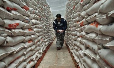 Kementan: Ketersediaan Pangan Strategis Cukup Aman