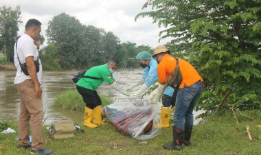 Polisi Selidiki Temuan Mayat Tanpa Identitas di Sungai Brantas