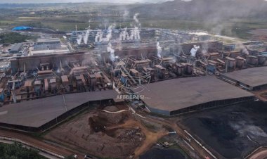 Kalah dalam Sengketa Nikel di WTO, Pemerintah akan Ajukan Banding