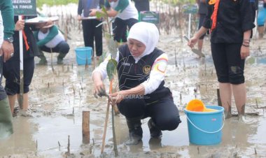 Gaungkan Sedekah Oksigen, Gubernur Khofifah Tanam 5.750 Bibit Mangrove
