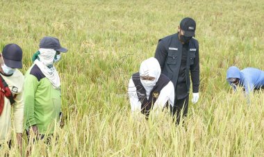 Berhasil Surplus Beras, Khofifah Apresiasi Pemkab Ngawi