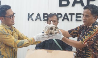 Tulungagung Terima Replika Tengkorak Homo Wajakensis dari Belanda