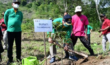 Hari Bakti PU ke 75, Bupati Tulungagung Ikut Tanam Pohon
