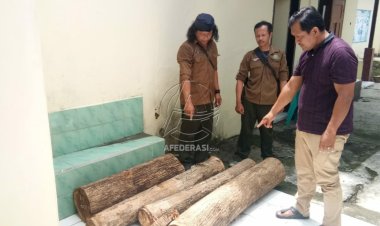 Kepergok Curi Kayu Milik Perhutani, Pria Asal Blitar Diamankan Polisi