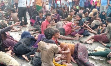185 Pengungsi Muslim-Rohingya Terdampar di Pidie, Aceh