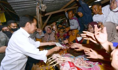Kunjungi Pasar Sila, Jokowi Serahkan Bansos