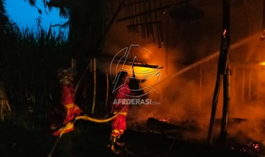 Dilahap Si Jago Merah, Kandang Beserta Ribuan Ayam Hangus Terbakar