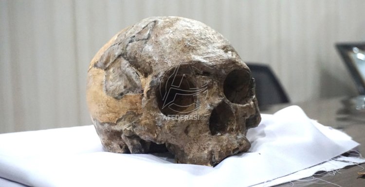 Tulungagung Terima Replika Tengkorak Homo Wajakensis dari Belanda