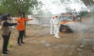 Kendalikan Kasus PMK, Disnak Jatim Lakukan Penyemprotan Pasar Hewan di Wilayah Perbatasan