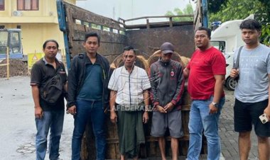 Resmob Situbondo Gagalkan Pencurian Belasan Kayu Sonokeling