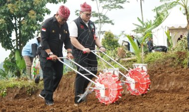 Datang ke Lereng Gunung Wilis, Mentan Ajak Budidaya Kelapa Genjah