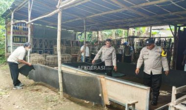 Arena Judi Sabung Ayam di Kediri Digerebek Polisi