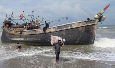 Lagi, 71 Pengungsi Rohingya Mendarat di Aceh