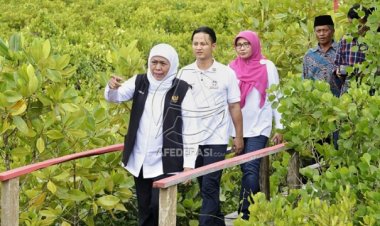 Gubernur Khofifah Tinjau Upaya Masyarakat di Pesisir Trenggalek Menjaga Kelestarian Ekologi