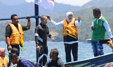 Jaga Ekosistem Laut, Gubernur Jatim Tenggelamkan Terumbu Karang di Pantai Trenggalek