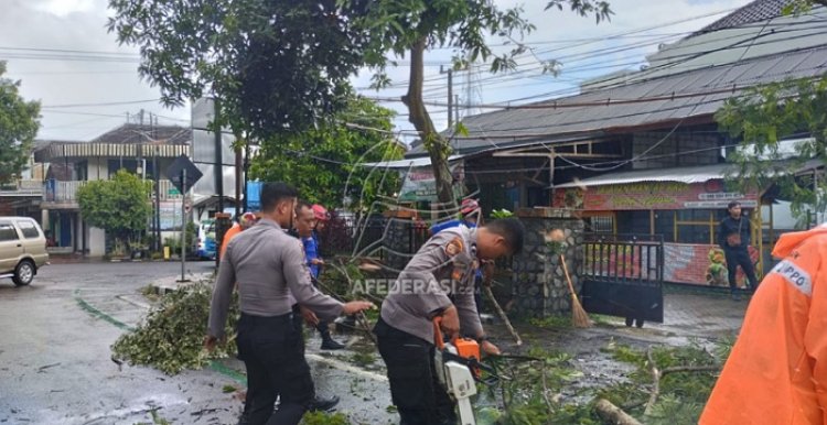 Akibat Pohon Tumbang, Jalan Nasional Trenggalek-Ponorogo Tersendat