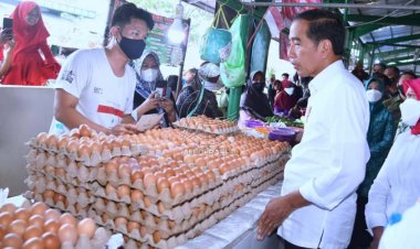 Presiden Jokowi Cek Harga Bahan Pangan di Pasar Tenguyun Kota Tarakan