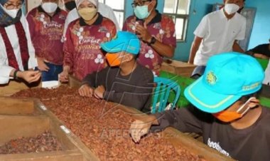 Festival Cokelat Glenmore Jadi Penggerak Perekonomian Warga Banyuwangi