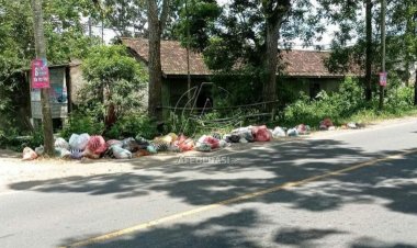 Tepi Jalan Nasional Tulungagung - Trenggalek Penuh Sampah, Bau Menyengat Menggangu Masyarakat