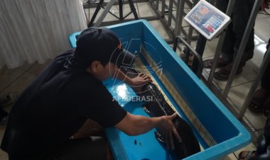 Meriahkan HUT ke-1219, Pemkab Kediri Buat Kontes Gede-gedean Lele