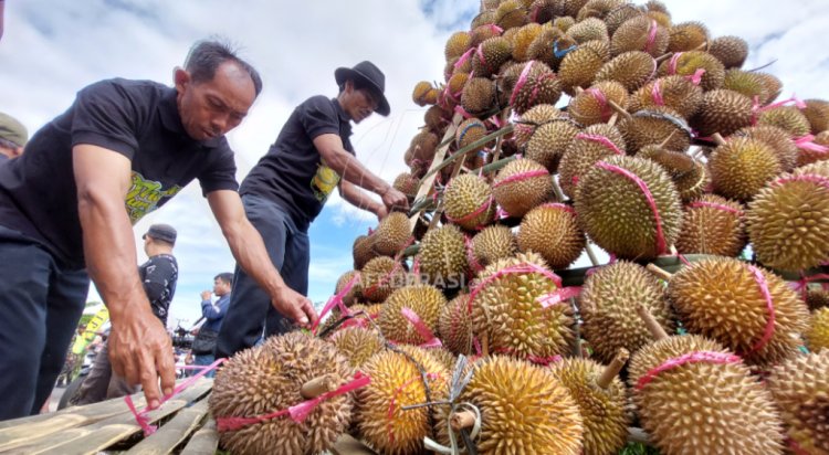 Ribuan Warga Serbu Festival Dhahar Durian di Medowo