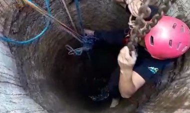 Berontak, 2 Sapi di Bondowoso Pilih Nyebur Sumur, 1 Mati