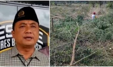 Polres Bondowoso Lidik Penebangan 796 Pohon Akasia di Lahan Perhutani, GP Ansor Siap Kawal