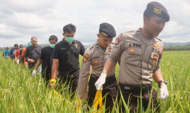 Hilang Sebelum Lebaran, Seorang Perjaka Ditemukan Membusuk di Pematang Sawah