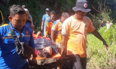 Hendak Mengambil Pepaya, Wanita di Situbondo Terjatuh ke Jurang