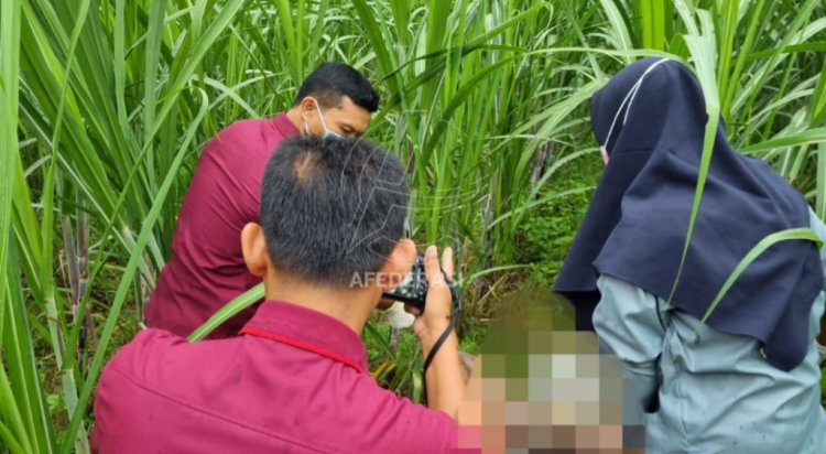 Jasad Perempuan dan Bayi di Kebun Tebu Siman Terungkap, Polisi Panggil Pihak Keluarga