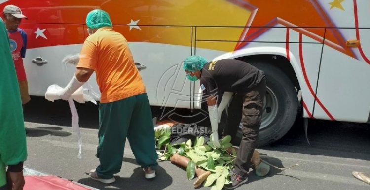 Tersenggol Bagong, Lansia Tewas di Kolong Bus