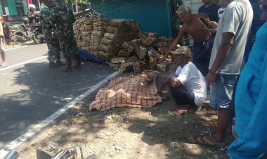 Kecelakaan 2 Pick up vs Motor di Bondowoso, 1 Tewas, Ikan Pindang Berserakan