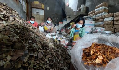 Rambah Pasar Digital, Jamu Godog Onto Rejo Lereng Wilis Kediri Jangkau Pasar Nusantara