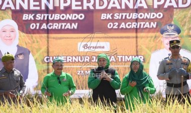 Gubernur Jatim Panen Perdana Padi BK Situbondo, Diharapkan Jadi Salah Satu Lumbung Padi Nasional