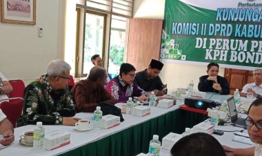 91 LMDH Garap Lahan Perhutani KPH Bondowoso, Begini Sistem Kelolanya