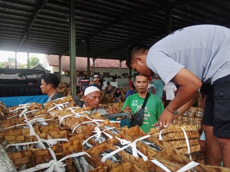 Geliat Ekonomi Pasar Ikan Tembus Rp 1,5 Miliar per Hari, Ini Langkah Optimalisasi Diskoperindag Bondowoso